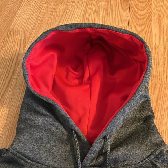 Wisconsin Badgers Colosseum Stadium Men’s L Arch & Logo Pullover Hoodie Gray - Picture 5 of 9